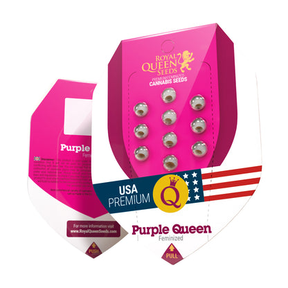 Purple Queen - Feminisiert